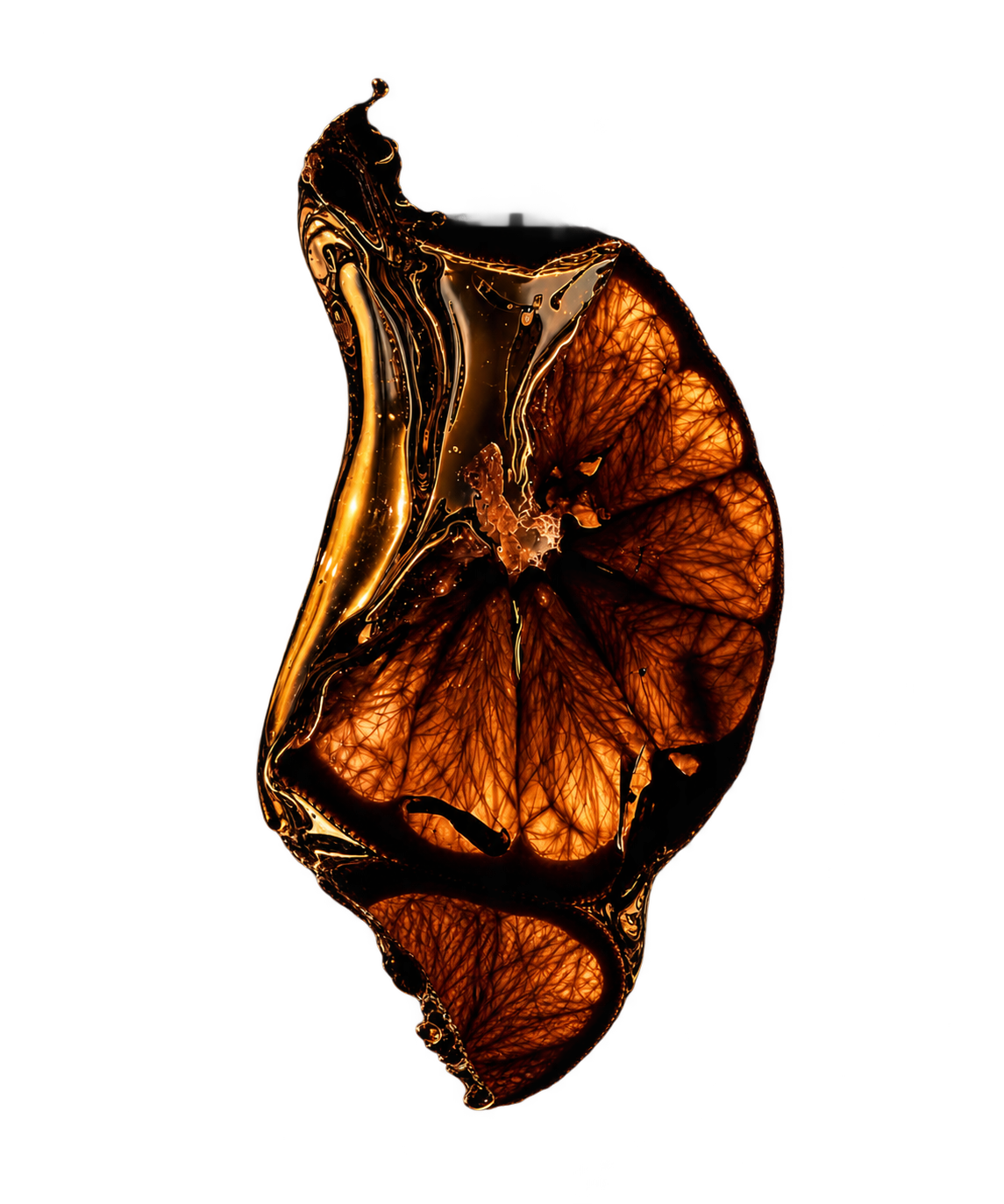 A slice of citrus suspended in golden liquid